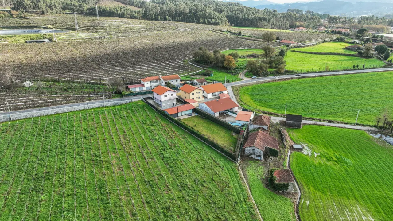Propriedade situada na freguesia de Brito, em Guimarães — 40