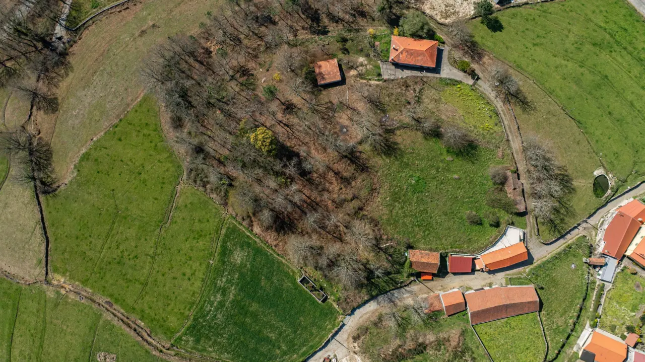 Terreno para construção – Currais, Reigoso, Montalegre — 13