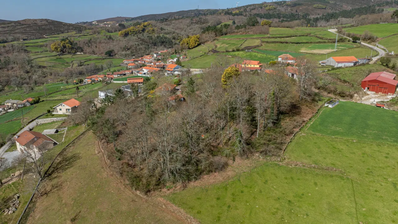 Terreno para construção – Currais, Reigoso, Montalegre — 15