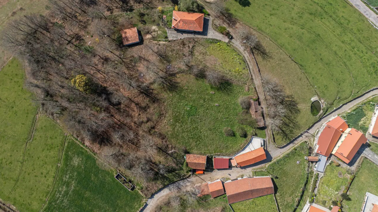Terreno para construção – Currais, Reigoso, Montalegre — 3