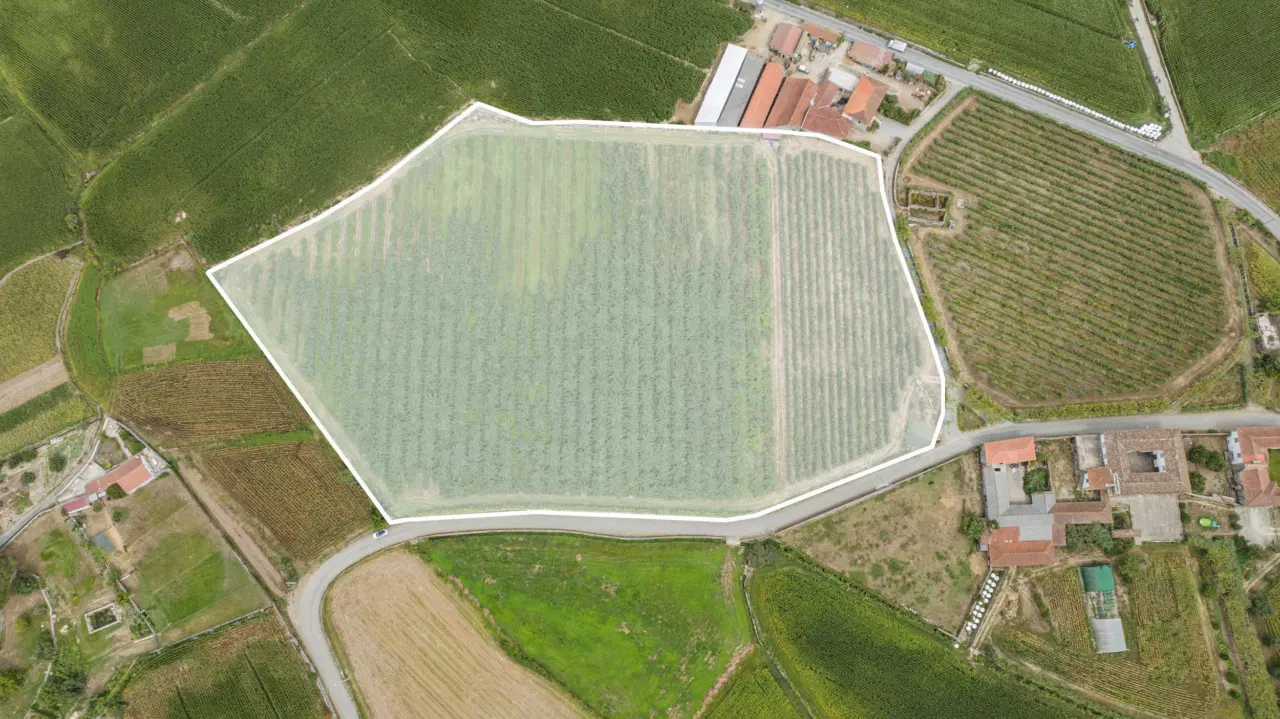 Terreno Rústico com Potencial para Agroturismo — 4