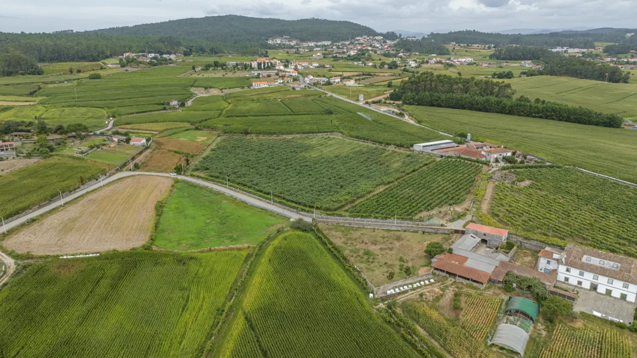 Terreno Rústico com Potencial para Agroturismo — 14