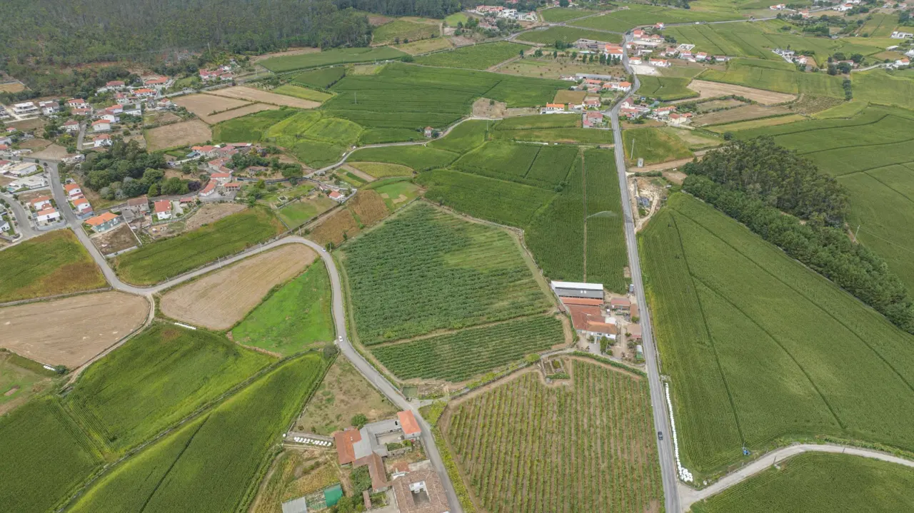 Terreno Rústico com Potencial para Agroturismo — 3