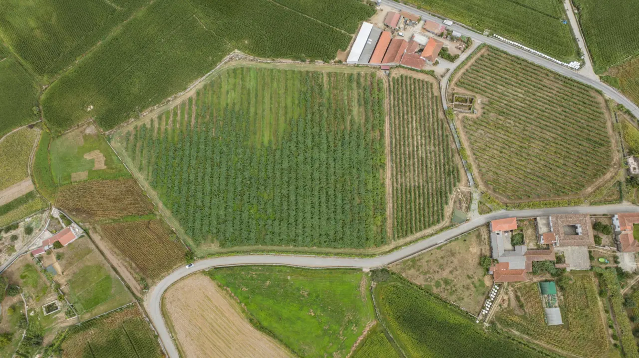 Terreno Rústico com Potencial para Agroturismo — 8