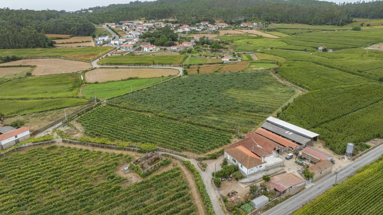 Terreno Rústico com Potencial para Agroturismo — 11