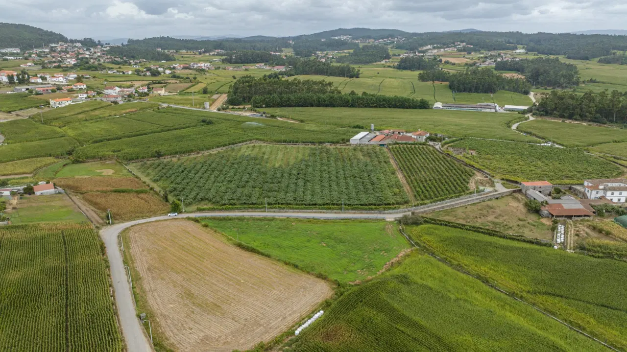 Terreno Rústico com Potencial para Agroturismo — 6