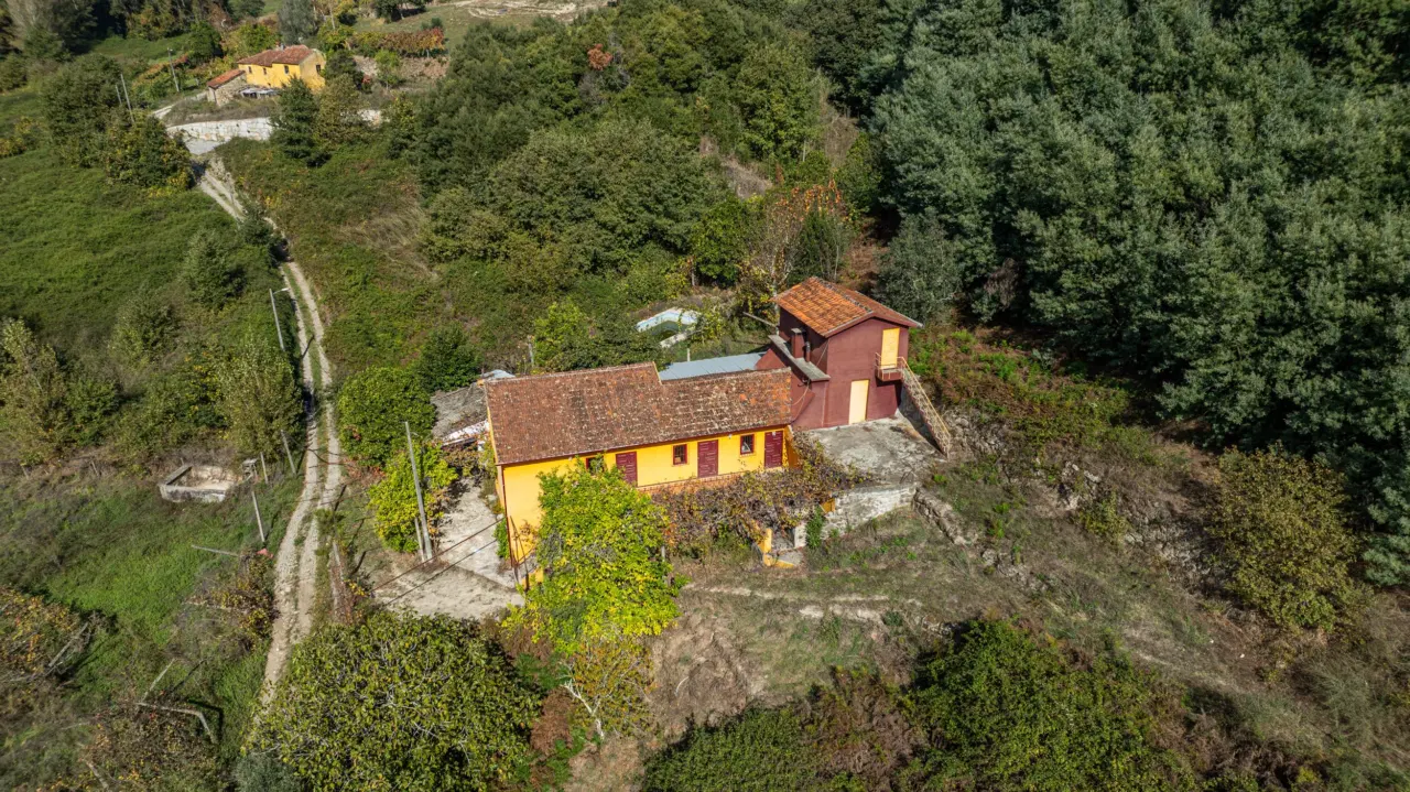 Moradia com Terrenos em Baião – Pedras Brancas, Mesquinhata — 7