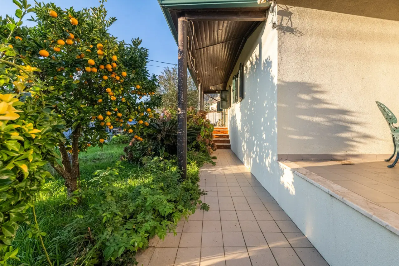 MORADIA - CABREIROS, BRAGA (POSSIBILIDADE DE VENDA EM SEPARADO) — 23